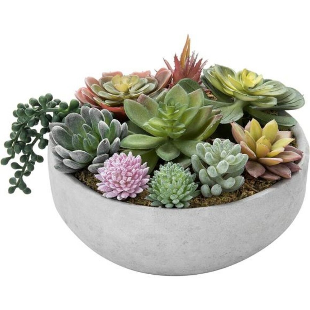 Artificial Succulent Arrangement Faux Plants in Gray Concrete Decorative Planter